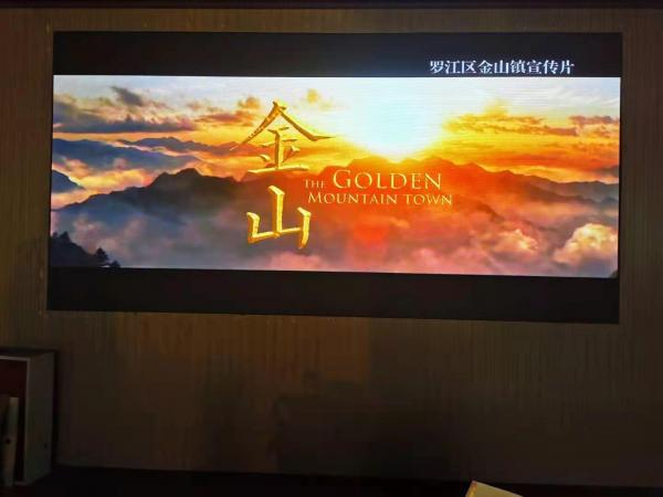 德阳金山镇家和社区   P2.0
